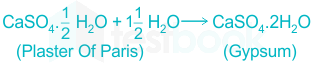 5. What happens when Plaster of paris came in contact with m ? | Scholr™