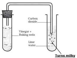 Give reason why: Lime water turns milky when CO3 is passed through it? - Sarthaks eConnect | Largest Online Education Community