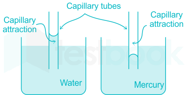 Water rises whereas mercury level falls in capillary tube