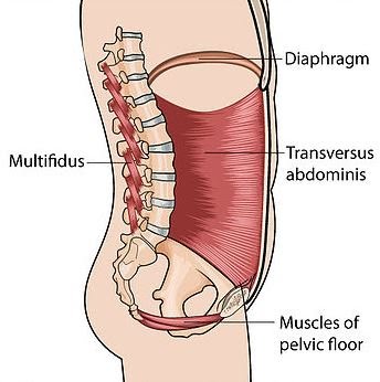 Pilates Breathing Technique