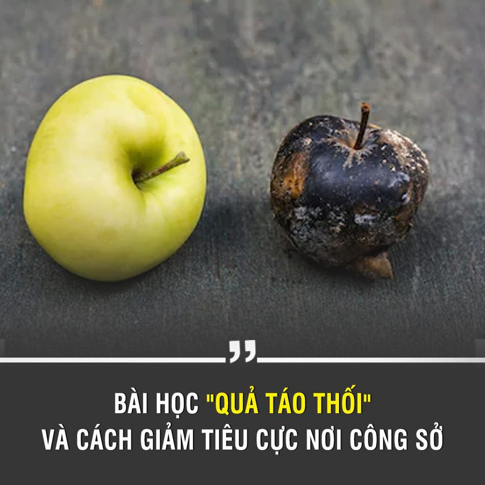 BÀI HỌC "QUẢ TÁO THỐI" VÀ CÁCH GIẢM TIÊU CỰC NƠI CÔNG SỞ