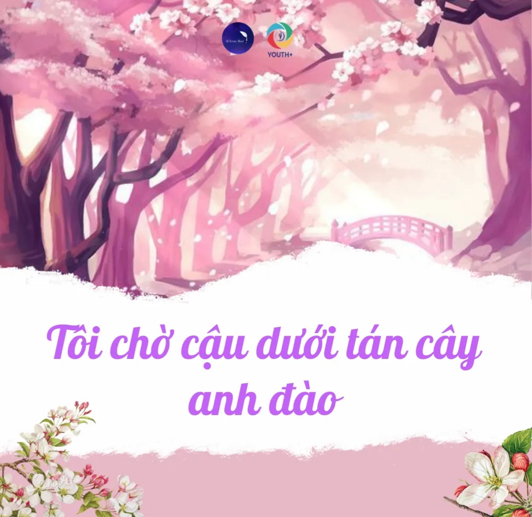 [THANH XUÂN NĂM ĐÓ CÓ NGƯỜI CHỜ CẬU DƯỚI TÁN CÂY ANH ĐÀO]