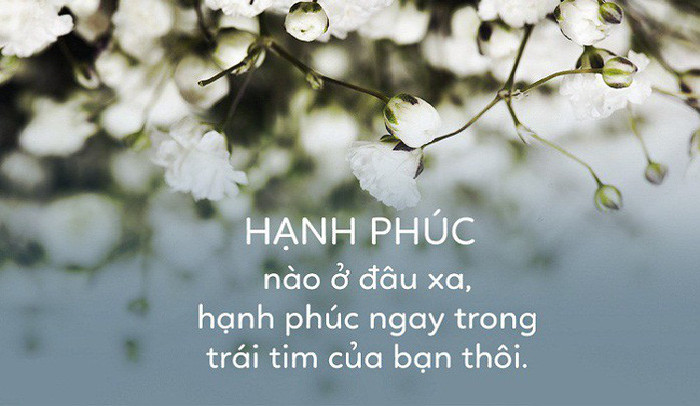 Đừng Bỏ Quên Bản Thân Trong Những Vai Diễn Không Cát Sê Mà Hãy Đi Tìm Giá Trị Thực Từ Những Điều Nhỏ Bé Nhất