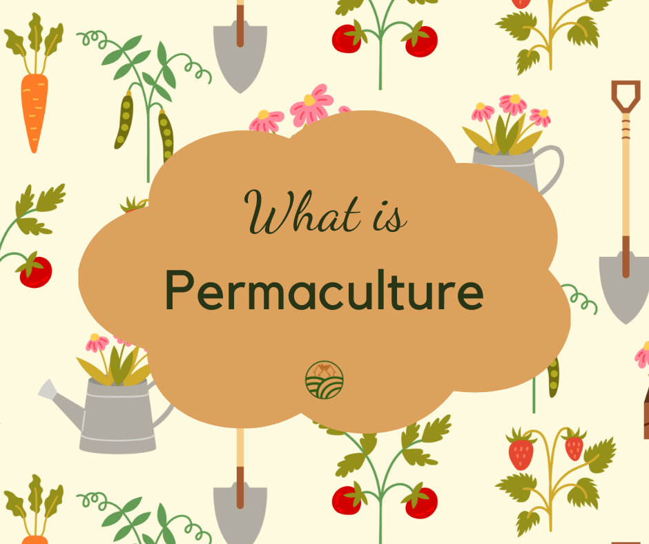 [NATURE VILLAGE] PERMACULTURE LÀ GÌ?