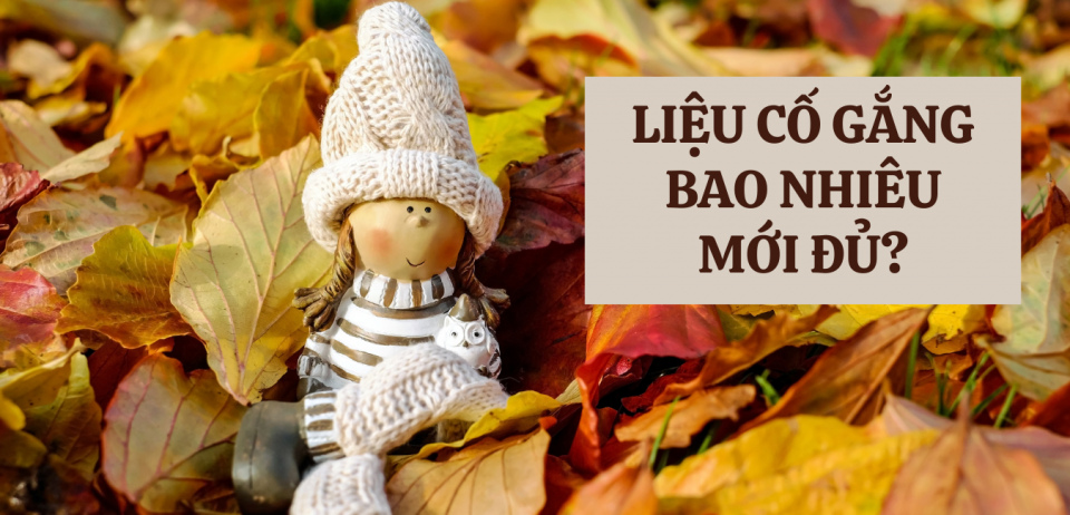 LIỆU CỐ GẮNG BAO NHIÊU MỚI ĐỦ?