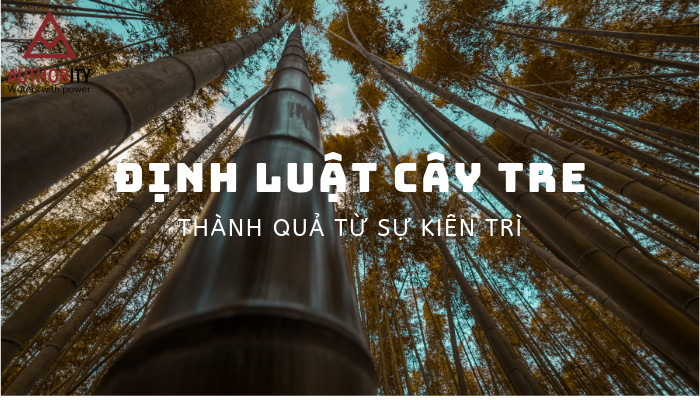 [Định luật cây tre - thành quả của sự kiên trì]