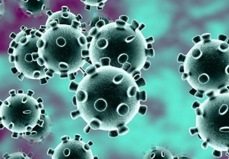 Sự thật: Virus không thể "chết" được, vậy con người đã ngăn chặn những dịch bệnh nguy hiểm bấy lâu nay bằng cách nào?