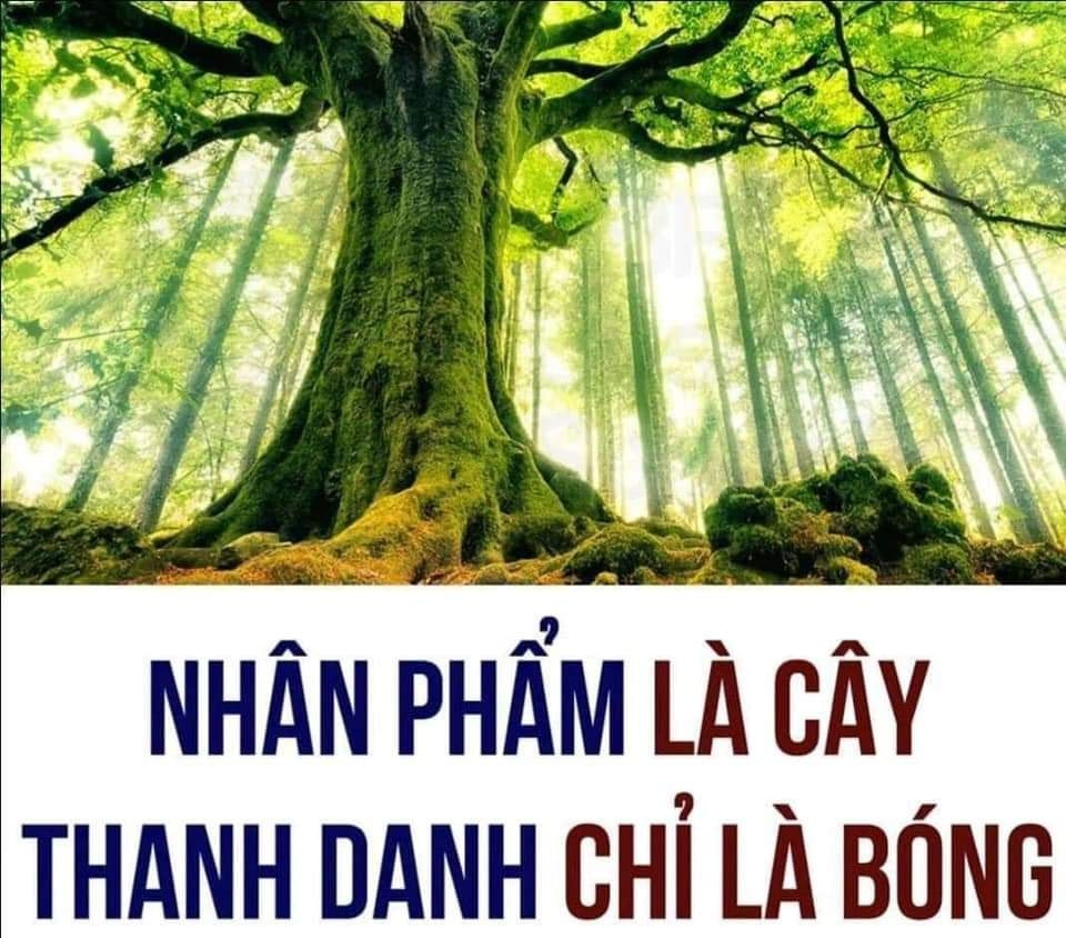 Nhân phẩm và Thanh danh ví như Cây và Bóng