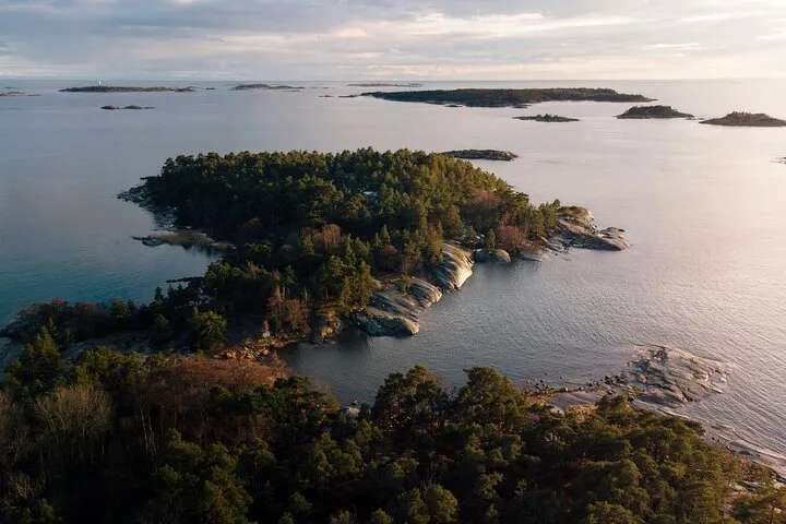 Forest islands archipelago rocky coastline.