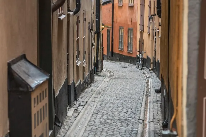 Winding cobblestone alley between old buildings.