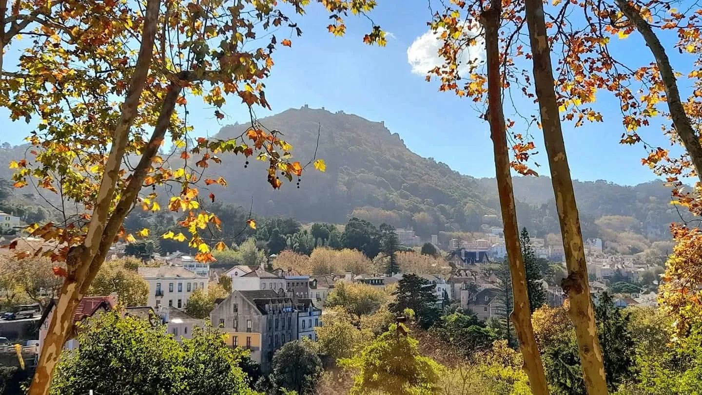 Sintra castle and town framed by autumn foliage.