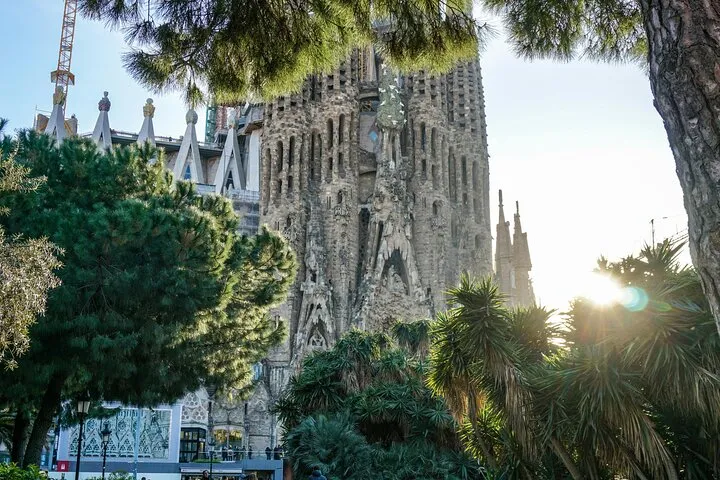 Sagrada Familia Barcelona cathedral framed by trees.