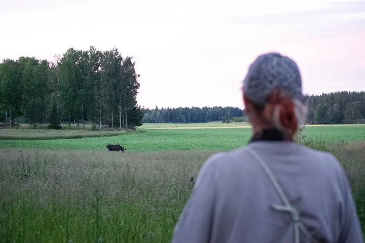 Person watches moose graze in green field.