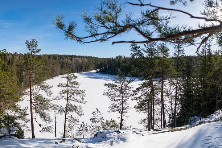 Tall pine trees overlooking snowy frozen lake.