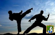 Відбувся Відкритий Фінал Кубку Миколаївської області з традиційного карате-до