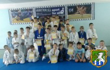 Проведено Першість КЗ «Южноукраїнська дитячо-юнацка  спортивна школа»  з дзюдо