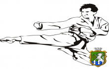 Успіхи южноукраїнських спортсменів відкритий Чемпіонат Миколаївської області з Традиційного карате-до