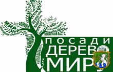 В місті стартує акція «Посади дерево миру»