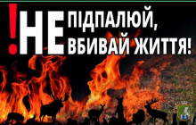 Несанкціоноване спалювання опалого листя та залишків рослинності