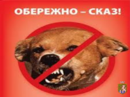 Про проведення пероральної імунізації диких м’ясоїдних тварин проти сказу на території Миколаївської області