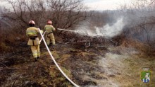 Впродовж минулого тижня підрозділи ДСНС України врятували 51 особу та ліквідували 1480 пожеж