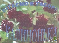 «Калинонька» гостинно відчинила двері