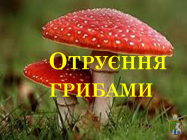 Отруєння грибами