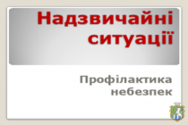 Небезпека зі світу тварин