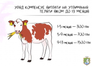 Державна підтримка  за утримання корів та молодняку великої рогатої худоби