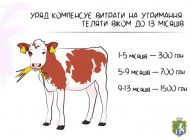 Державна підтримка за утримання корів та молодняку великої рогатої худоби