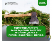 Відповідальності за незаконну вирубку хвойних дерев у передноворічний період 