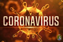 Закон про запобігання поширенню коронавірусу
