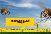 Профілактичні дії, направлені на недопущення отруєння бджіл та алгоритм дій в разі отруєння бджіл 