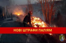 Яку передбачено відповідальність за підпали сухої трави? Якщо сусід палить листя, що робити?