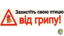 Щодо випадку грипу птиці в Донецькій області