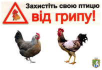 Щодо реєстрації спалаху грипу птиці в Київській області