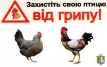 Щодо реєстрації спалаху грипу птиці в Миколаївській області