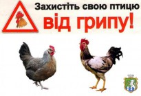 Щодо реєстрації спалаху грипу птиці в Миколаївській області