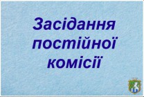 Онлайн трансляція засідання постійної комісії з питань дотримання прав людини, законності, боротьби зі злочинністю, запобігання корупції, сприяння депутатській діяльності, етики та регламенту