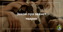 Щодо змін в законодавстві у сфері захисту тварин від жорсткого поводження 