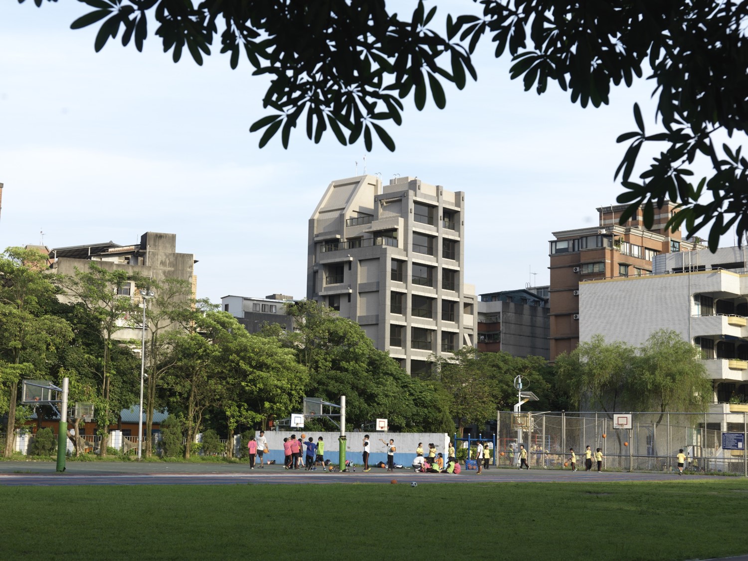 台大樸御