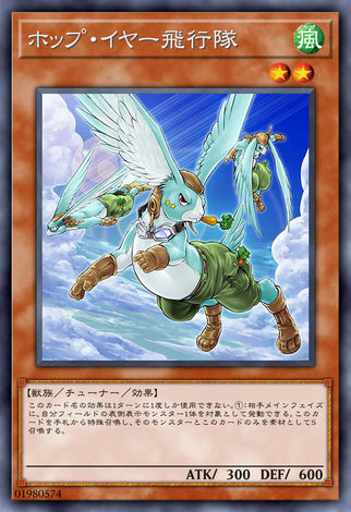 躍空垂耳兔飛行隊