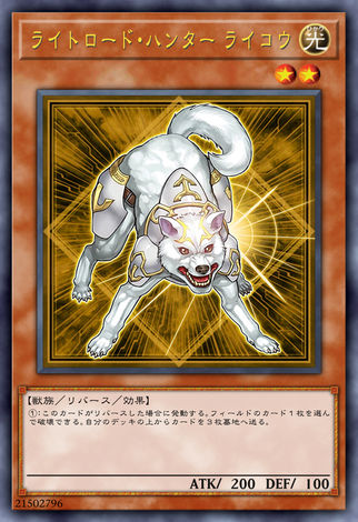 光道獵犬 萊可