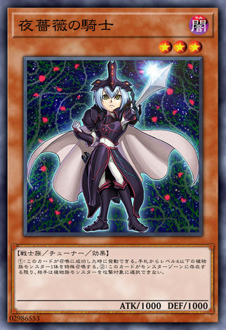 夜薔薇騎士