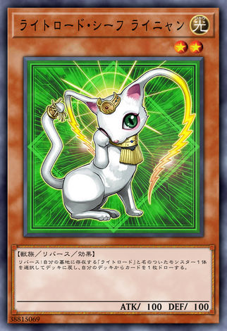 光道賊貓 萊喵