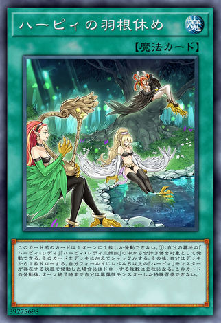 神鷹羽棲
