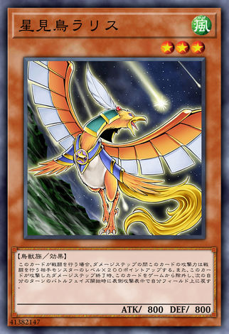 星見鳥 拉利斯
