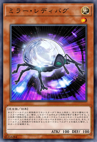 鏡子瓢蟲
