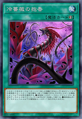 冷薔薇之抱香