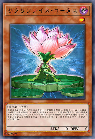 納祭蓮花